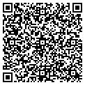 QR code with Netnow contacts