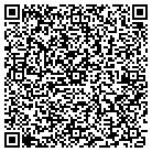 QR code with Amirimage Consulting Inc contacts