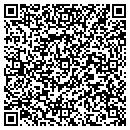 QR code with Prologic Inc contacts