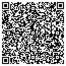 QR code with Pursuit Of Web LLC contacts