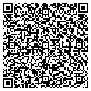 QR code with Pro Fleet Service Inc contacts