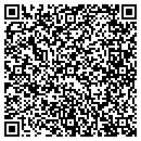 QR code with Blue Data Solutions contacts