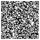 QR code with Bluopal Consulting LLC contacts