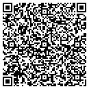 QR code with Blueline Roofing contacts