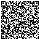 QR code with Brisbin Construction contacts