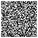 QR code with Dsi Construction CO contacts