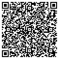 QR code with DLGLLC contacts