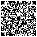 QR code with Promise It Solutions Inc contacts