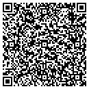 QR code with Cdt Consulting Corp contacts