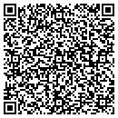 QR code with Borland Systems Inc contacts