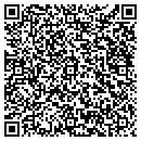 QR code with Professional Homeworx contacts