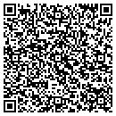 QR code with Pulsifer Insurance contacts