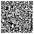 QR code with Amsi contacts
