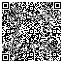 QR code with Predictive Chaos Inc contacts