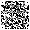 QR code with Pyramid Foresight contacts