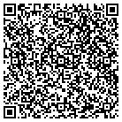QR code with Brians Care & Consulting contacts