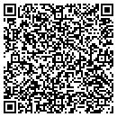QR code with Cjs Consulting Inc contacts