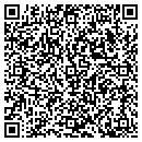 QR code with Blue Consulting Group contacts
