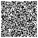 QR code with Cyber Consulting Inc contacts