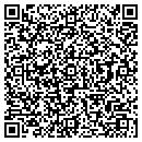 QR code with Ptex Systems contacts