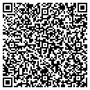 QR code with Princesas Bridal contacts