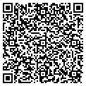 QR code with Input contacts