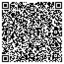 QR code with Blue Mule Systems LLC contacts