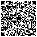 QR code with Punch Solutions contacts