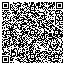 QR code with Pragmatic Services contacts