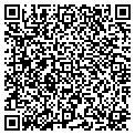 QR code with Modis contacts