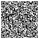 QR code with Pricehandlercom LLC contacts