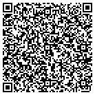 QR code with Professional Internet Sltns contacts