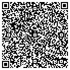 QR code with Public Internet Solutions LLC contacts