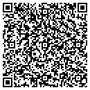 QR code with Pyramid Materials contacts