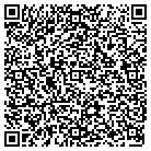 QR code with Spring Valley Contracting contacts