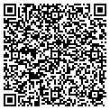 QR code with Digis contacts