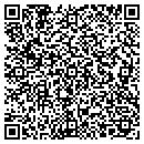 QR code with Blue Tech Consulting contacts