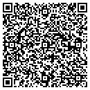 QR code with Cybercat Consulting contacts