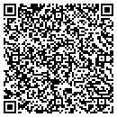 QR code with Blue Moon Consulting contacts
