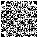 QR code with Brizendine Consulting contacts