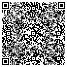 QR code with Blue Dot Servers contacts