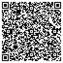 QR code with Chameleon Consulting contacts