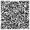 QR code with Cyber Flow Solution contacts