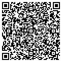 QR code with Light Fl contacts