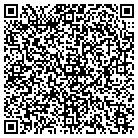 QR code with Blue Mist Enterprises contacts