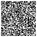 QR code with Costanzo Builder's contacts