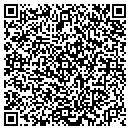 QR code with Blue Line Consulting contacts