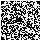 QR code with Bluehills Consulting Inc contacts