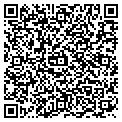 QR code with Pinion contacts