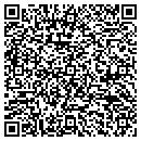 QR code with Balls Consulting LLC contacts